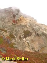 PDRM0161 * Point Reyes