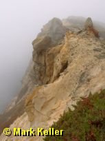 PDRM0172 * Point Reyes