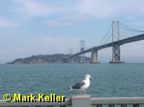 sanfancisco * (158 Slides)
