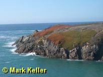 sonomacoast * (33 Slides)