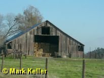 foothills * (15 Slides)