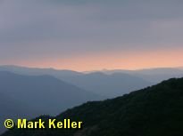 sequoia * (18 Slides)