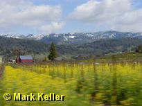 winecountry * (41 Slides)